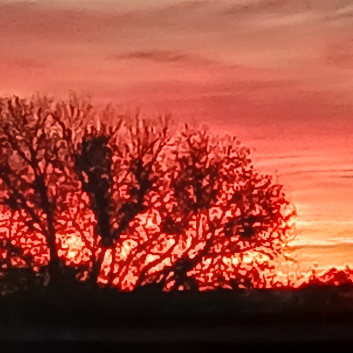 RLove (@ralove911) on Twitter photo 