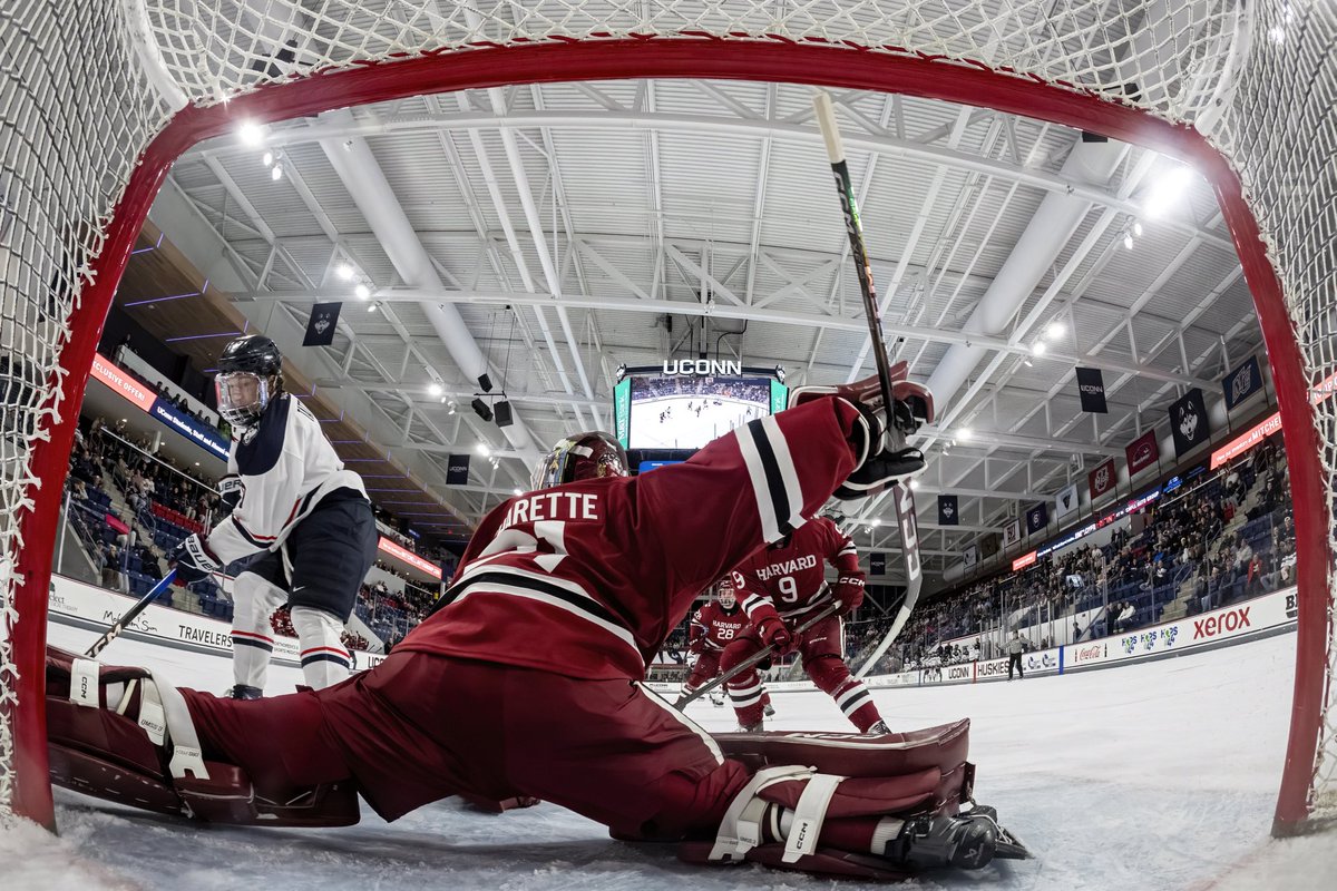 NCAA Ice Hockey tweet media