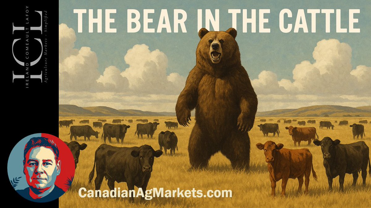 Cattle Bears, Soybean Bulls, and Wheat Spreads! Oh My!
Watch here:
youtu.be/o9h3gjlBvCc
#wheat #cattle #canola #soybeans #USDCAD