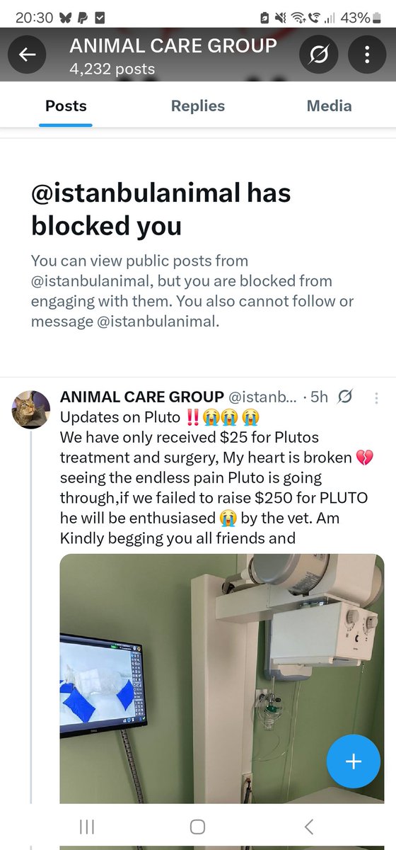 tws_pk2's tweet image. The scam account @istanbulanimal is still active and using the cat they call Pluto to defraud kind people. We have exposed this group multiple times but X is not taking down the account. Could everyone share this post so that people do not donate for a cat that is not with them