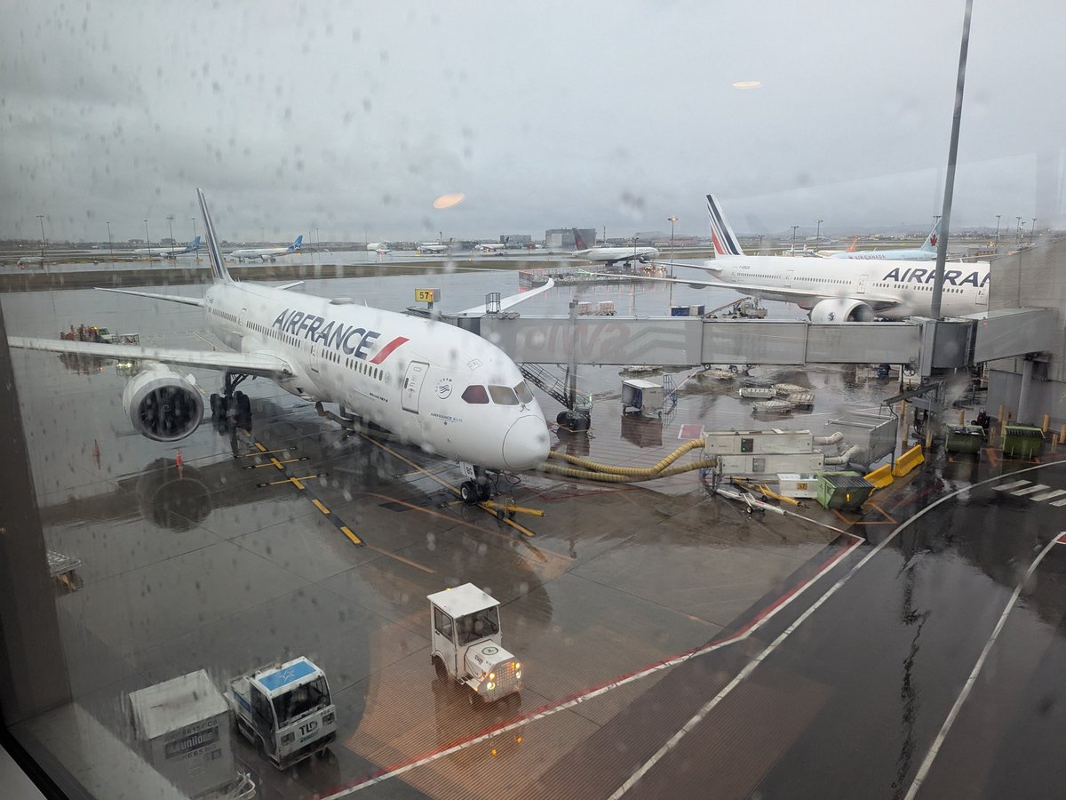 Ashentree_No1x tweet media