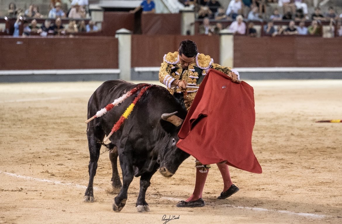 Un ayudado muy puro, por Mario Navas.
