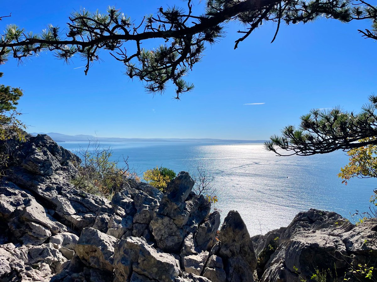 AndreasWiede's tweet image. Going through the pictures taken today while on a hike along the #Rilke trail, starting at #Duino 🇮🇹 castle. Wonderful views on the Bay of #Trieste as the path follows the #Karst ridge.