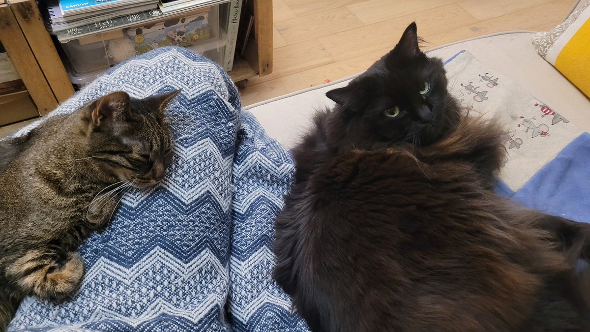 Je suis scandaloutré comvoici! Elle a osé poser son coude sur moi pendant que je dormais pepouze pour prendre un photo de Hawaï... Nameho!!