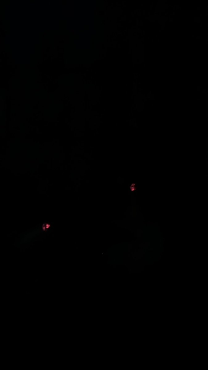 Prof. Gasselich 🇩🇪 tweet media