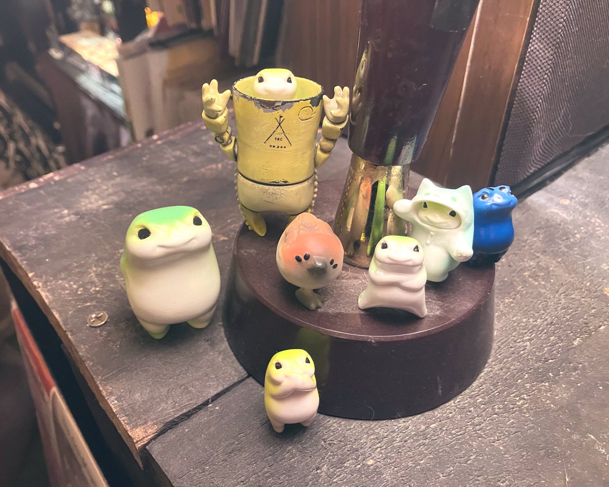 たんぽぽ (@a7dJSYggwoBE7xk) / Posts / X