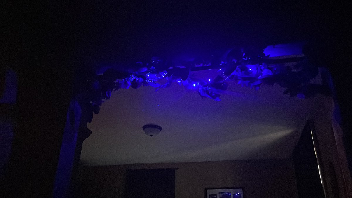 My autumn decorations consist of red leaves, sunflowers and blue lights for that nighttime calm 😌 🌙✨🍂🍁🌻🌌