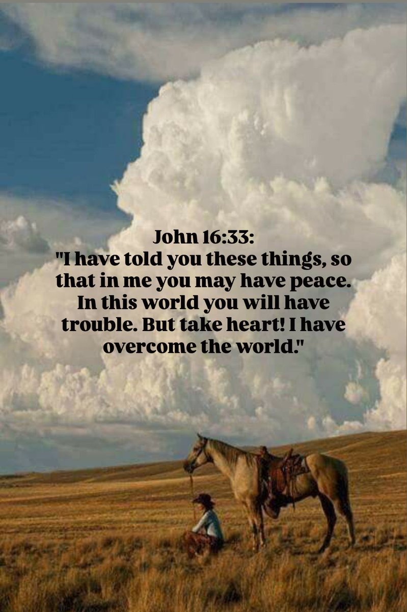 1madwoman1962's tweet image. #Scriptures  @DebbieZimmer54 @RosaTrunk @Rosakdp @PatGrant7777 @szentandrassym @BeatriceLacy @marvil296 @seale15 @victoria_victo3 @ZoraidaPalacios @debratankersle1 @JanetBarstow @ClockworkHamma @SuzanneLepage1 @antoniomanager @LesleyLupo @Tearene @WonderfulSpace4 @JesusLuvsUs777…