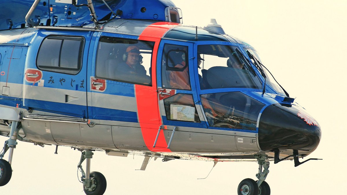 #ドーファンを愛でる会