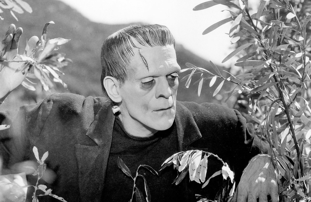 While everyone is busy talking about Guillermo del Toro’s Frankenstein, we took some time to give our debrief on the 1931 Universal classic

Apple: podcasts.apple.com/us/podcast/ope…

Spotify: open.spotify.com/episode/5tN7HZ…