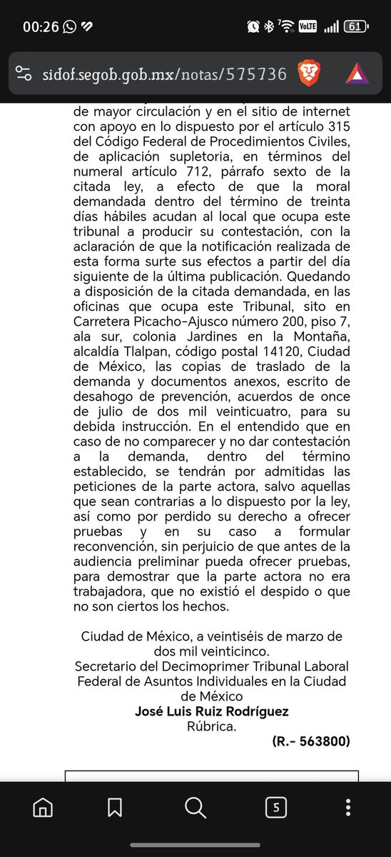 animedia tweet media