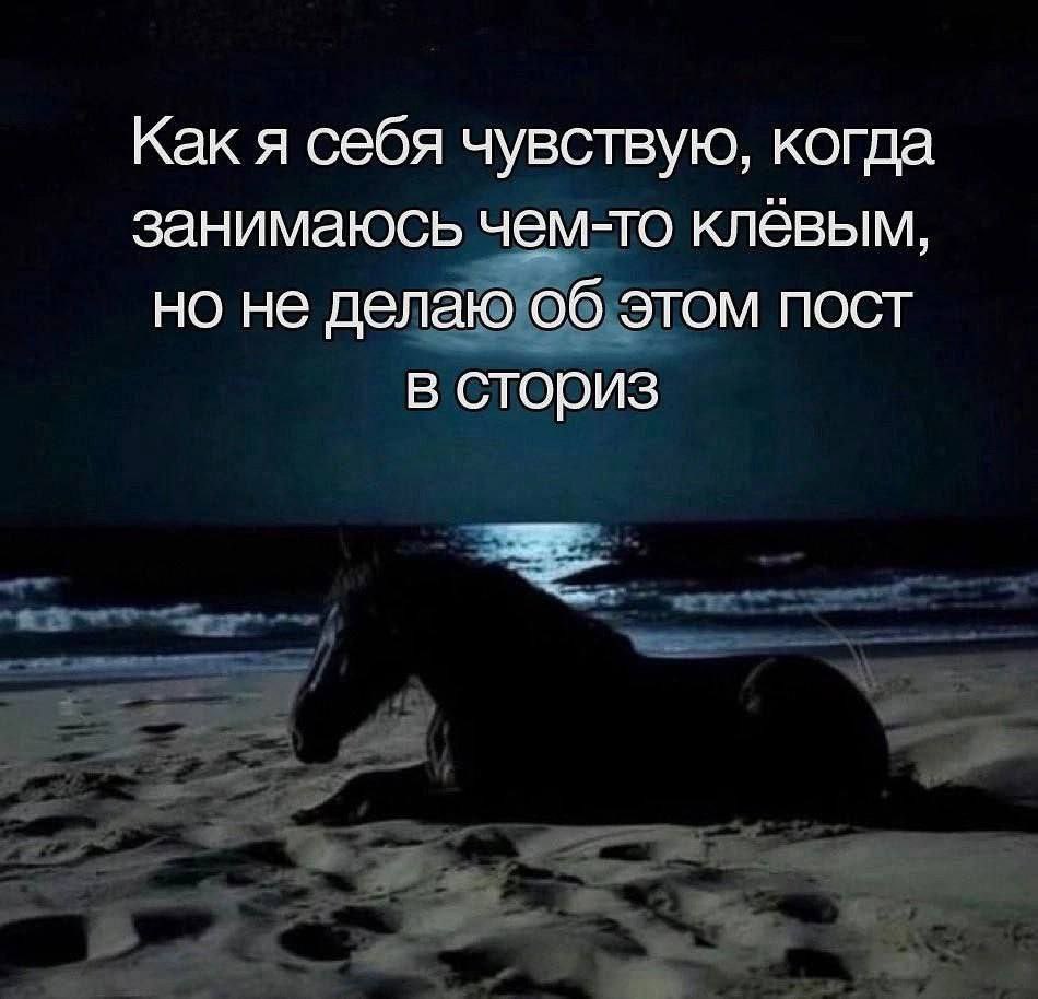 🐸Великое Колено🐸 (@great_knee) on Twitter photo 