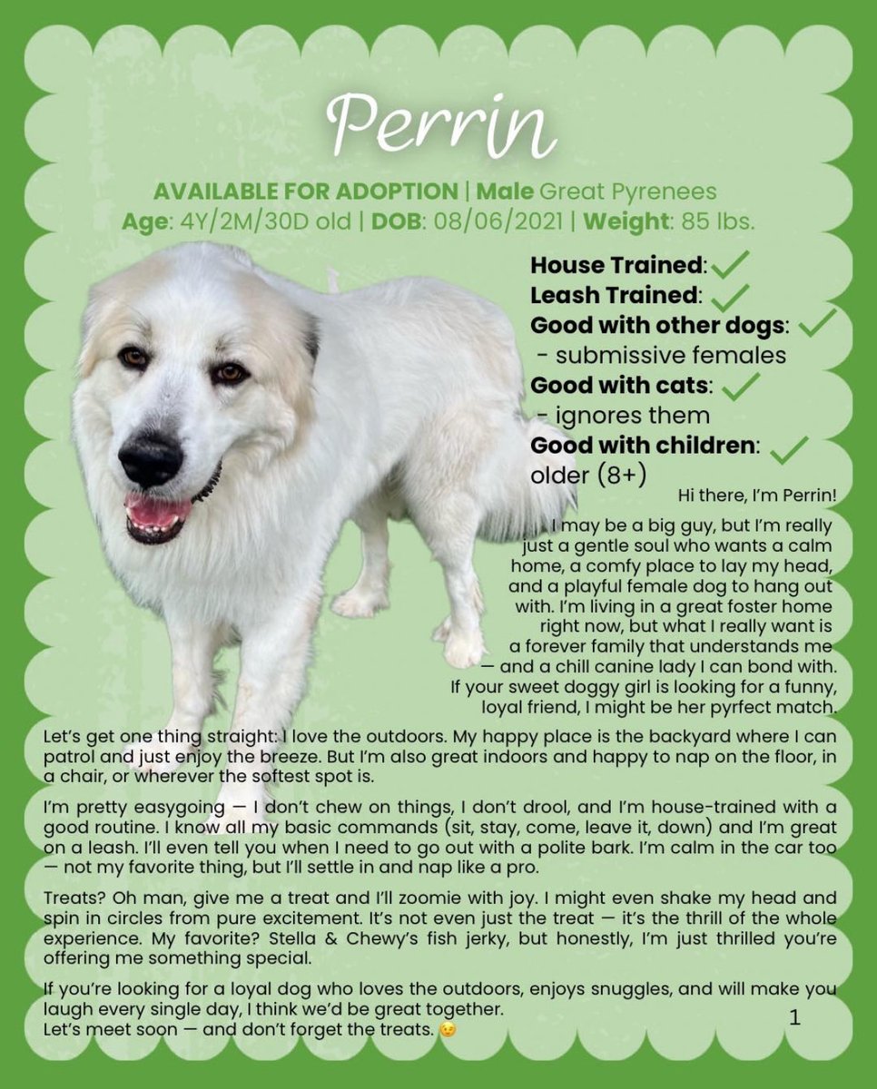 GPRAtlanta's tweet image. Perrin- an all around “good boy”