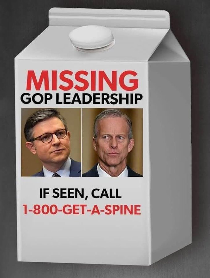 <a href="/SpeakerJohnson/">Speaker Mike Johnson</a> Republicans in the Senate and House have not done anything of significance since Trump took office a year ago.