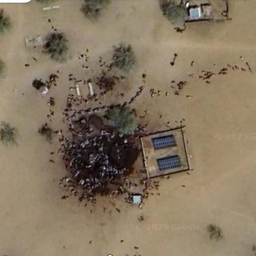 VirtualGlobetrotting tweet media