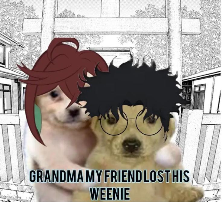 ⋆。°✩symer✩°。⋆ tweet media