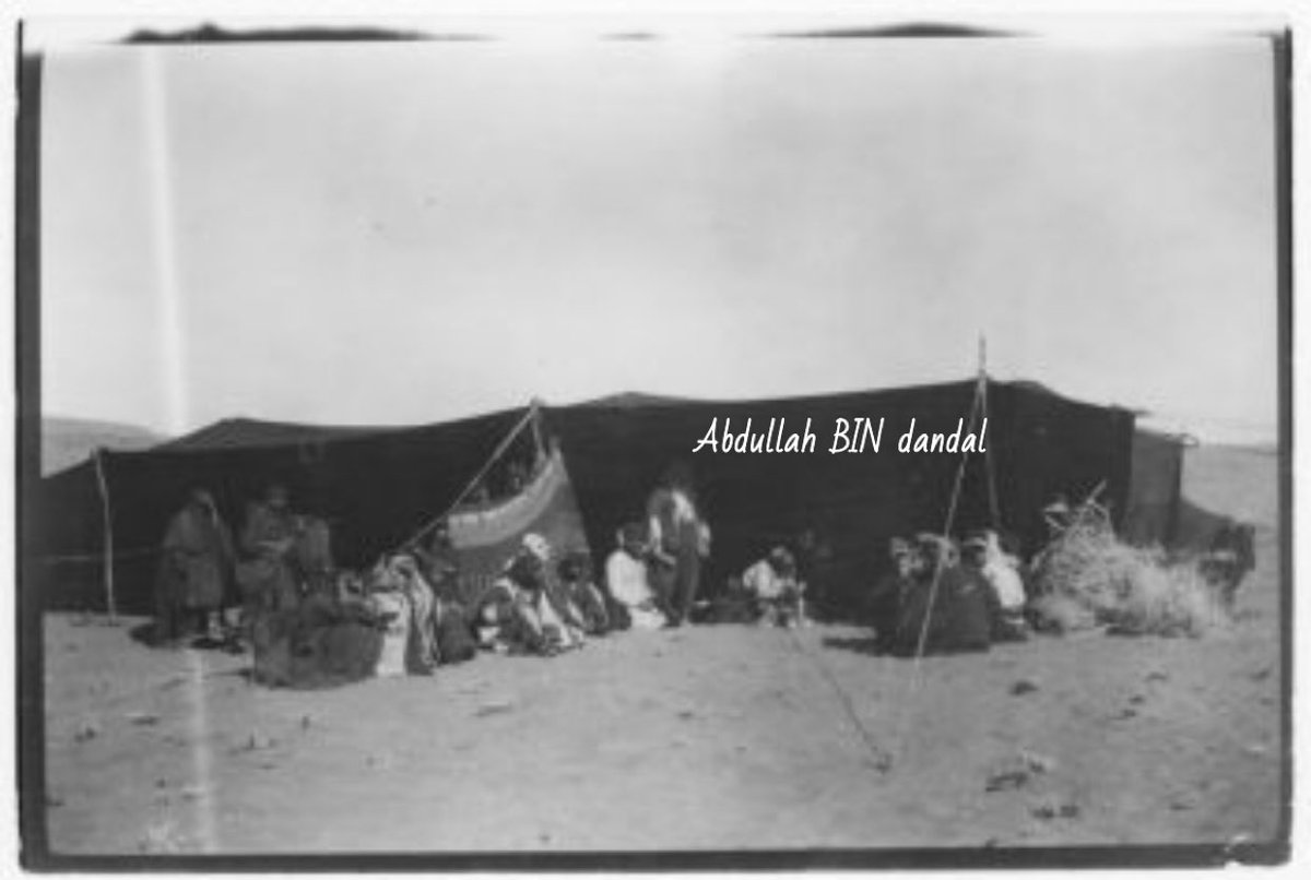 engaldandal's tweet photo. أربع لقطات فوتوغرافية نادرة التقطتها البريطانية غيرترود بيل في شمال غرب السعودية يناير 1914 للشيخ حرب الحويطات وابنه قاسم: تظهر الأولى الشيخ وابنه جالسين داخل خيمة، الثانية أفراد القبيلة في خيمة الشيخ، الثالثة قاسم مع رجل آخر على يسار الصورة، والرابعة امرأة من القبيلة مع مهرة في المخيم. توثق هذه الصور الحياة اليومية، الضيافة البدوية، وهيبة شيوخ الحويطات.

#جيرترودبيل #قبيلة_الحويطات #ارشيف_الصور