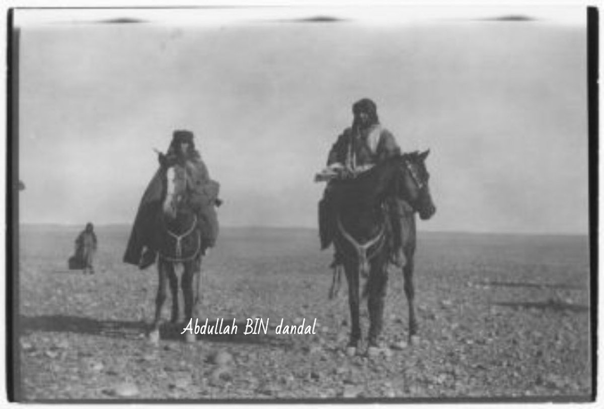 engaldandal's tweet photo. أربع لقطات فوتوغرافية نادرة التقطتها البريطانية غيرترود بيل في شمال غرب السعودية يناير 1914 للشيخ حرب الحويطات وابنه قاسم: تظهر الأولى الشيخ وابنه جالسين داخل خيمة، الثانية أفراد القبيلة في خيمة الشيخ، الثالثة قاسم مع رجل آخر على يسار الصورة، والرابعة امرأة من القبيلة مع مهرة في المخيم. توثق هذه الصور الحياة اليومية، الضيافة البدوية، وهيبة شيوخ الحويطات.

#جيرترودبيل #قبيلة_الحويطات #ارشيف_الصور
