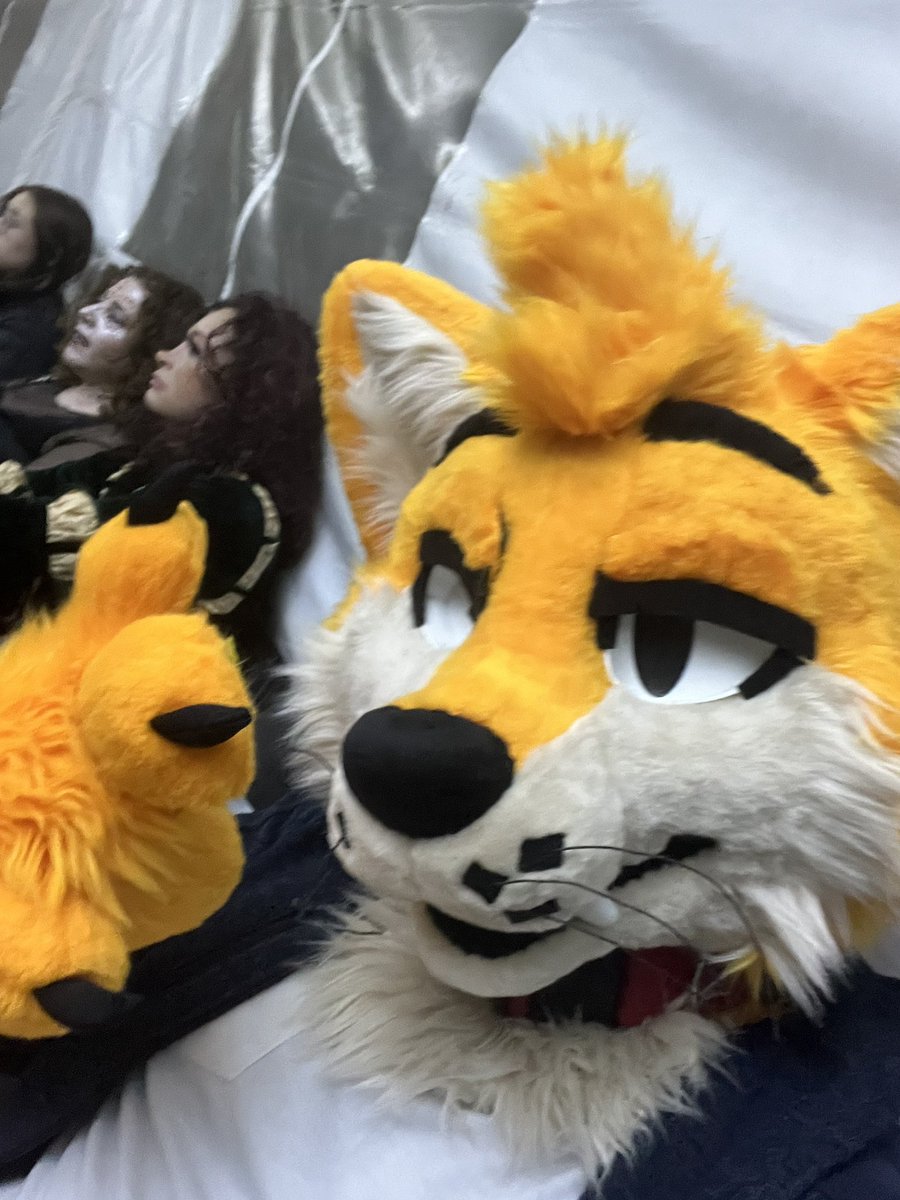 Un saludo pa los haters que son Fans 😮‍💨🤙✨