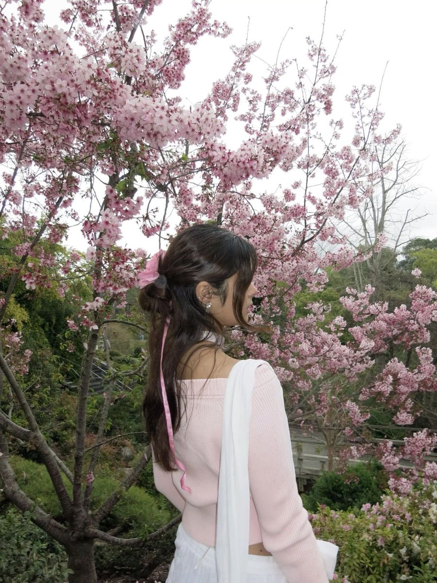 skribie's tweet photo. 𝓉𝒽𝑒 𝓋𝒶𝓃𝒾𝓈𝒽𝒾𝓃𝑔 𝒸𝒽𝑒𝓇𝓇𝓎 𝒷𝓁𝑜𝓈𝓈𝑜𝓂 𝒷𝑜𝑜𝓀𝓈𝒽𝑜𝓅 𝒷𝓎 𝓉𝒶𝓀𝓊𝓎𝒶 𝒶𝓈𝒶𝓀𝓊𝓇𝒶
☆☆☆☆ ½

“the path was completely blanketed in colourful cherry-blossom petals.”
₊˚🌸.ೃ࿔*:･ this novel was so enchanting &amp; imaginative, i absolutely loved it <3 https://t.co/dURM0RR8hZ