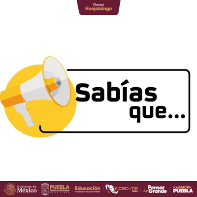 🔬 ¿Sabías que…?
La forma del corazón ❤️ que hoy representamos de manera simbólica no corresponde al órgano real. Su silueta se popularizó a partir de la unión esquemática de dos corazones, dando origen al ícono que conocemos.