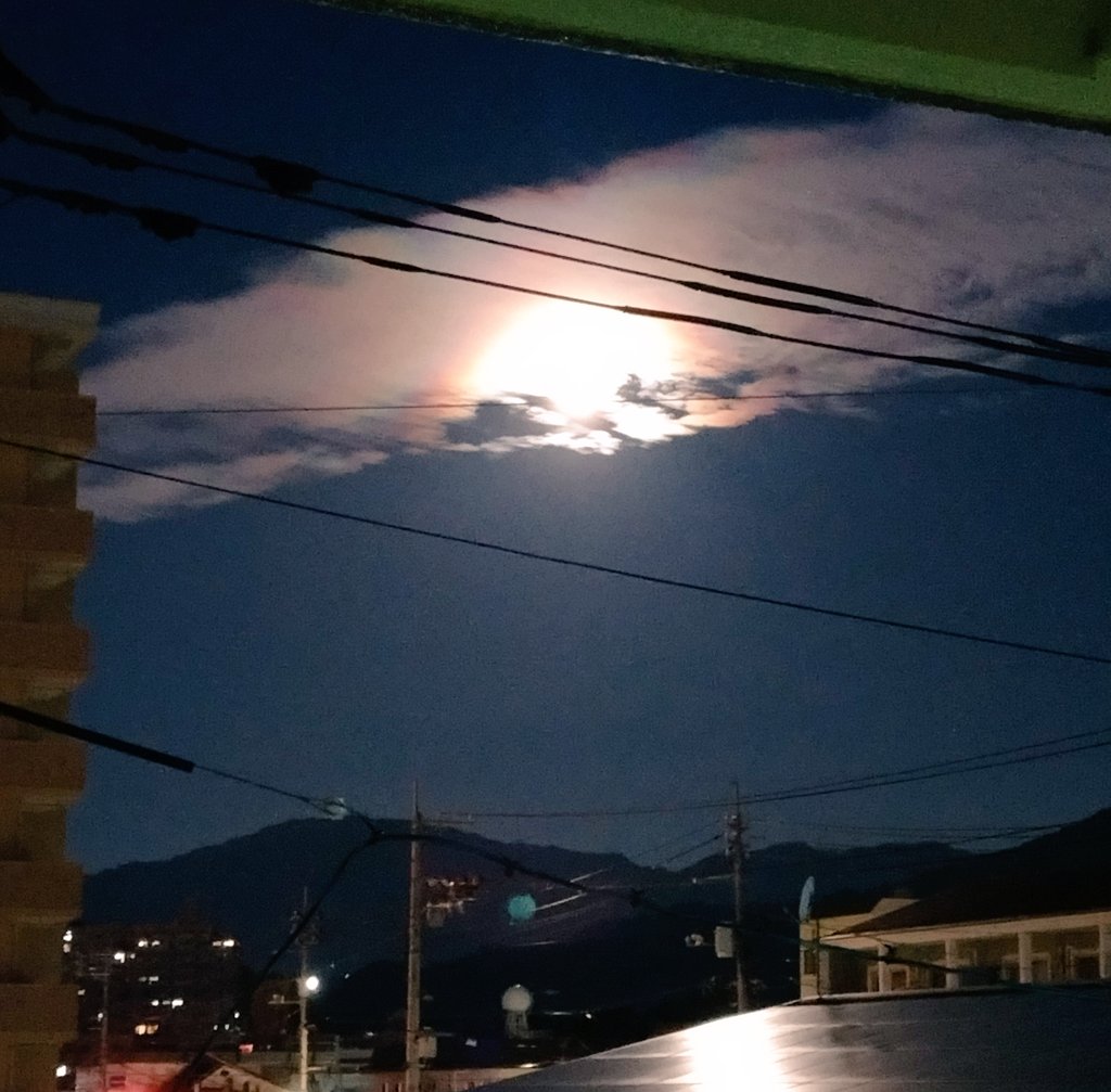 #ohayomorning

おはよ〜も〜に〜ん

西の空にスーパームーン🌕
まだみえましたよ〜