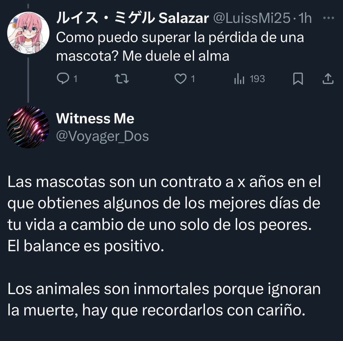 shak_12's tweet photo. @Smyrdakov Siempre he guardado esta respuesta para el día en que lo necesite recordar, gracias. https://t.co/LI9OcULB06