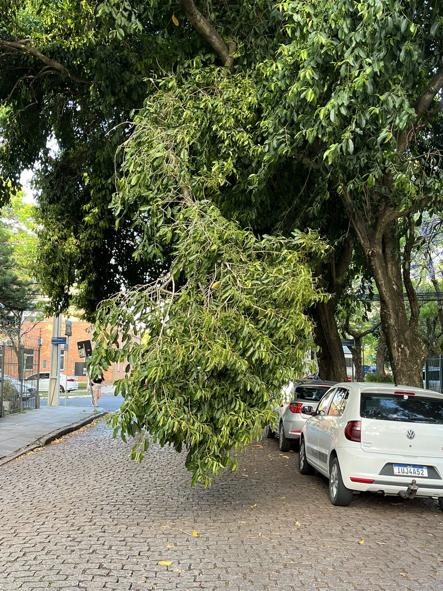 Atenção para galho de árvore pendurado no meio da rua, sem nenhuma sinalização no local.
Fica na travessa Borges Fortes, bairro Santana 
Possivelmente tenha quebrado com a força dos ventos de hoje. 
<a href="/EPTC_POA/">EPTC - Porto Alegre</a> <a href="/metsul/">MetSul.com</a>