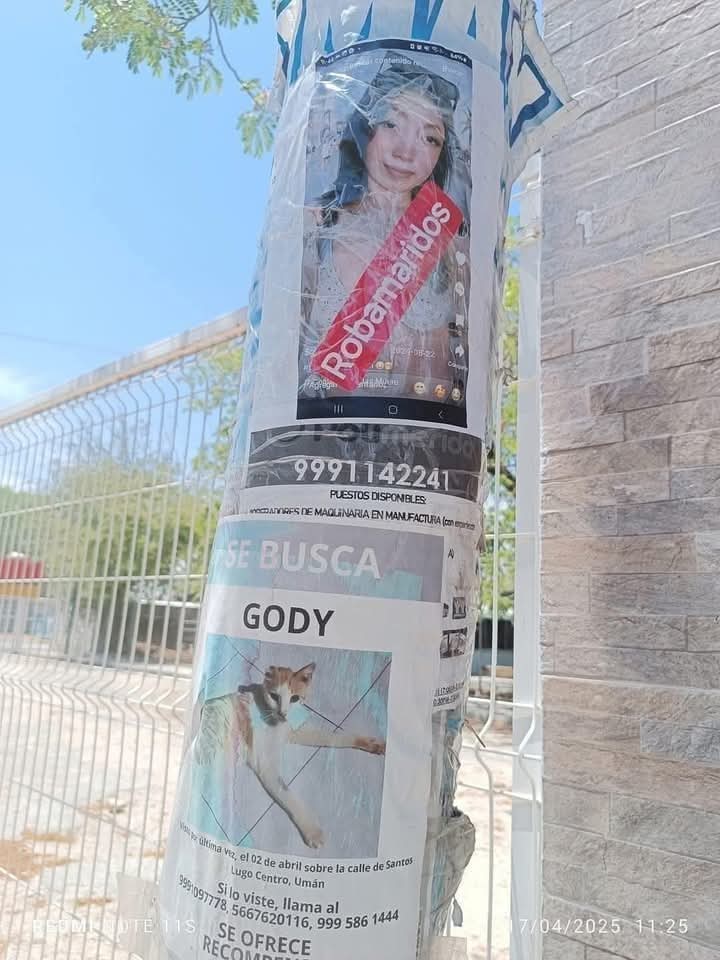 Se busca GODY 🙏🏻🙏🏻🔥