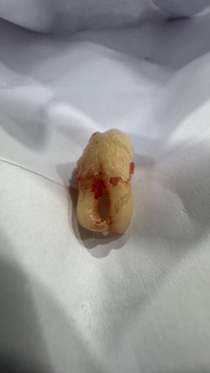 esquizoetigre tweet media