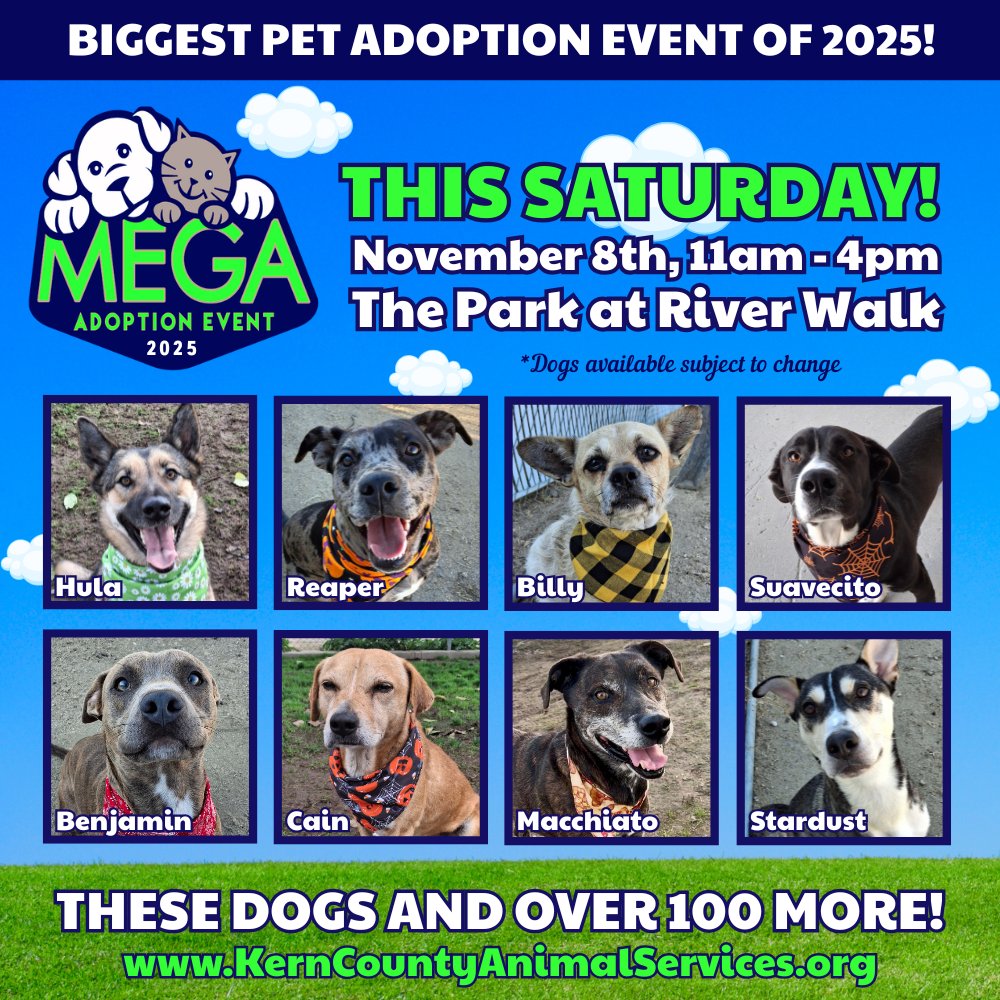 There’s no need to wait for the Mega Adoption Event to adopt one of our amazing shelter pets!

Wonderful dogs like these need homes now! 

3951 Fruitvale Ave.
Mon–Sat: 10 AM–4 PM | Wed: 2 PM–7 PM
Adoption fees waived for 30-Day Dogs &amp; Cats!

#AdoptDontShop