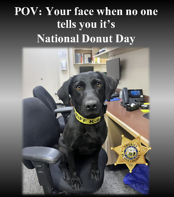 Happy National Donut Day! Don't forget to tell your dog.