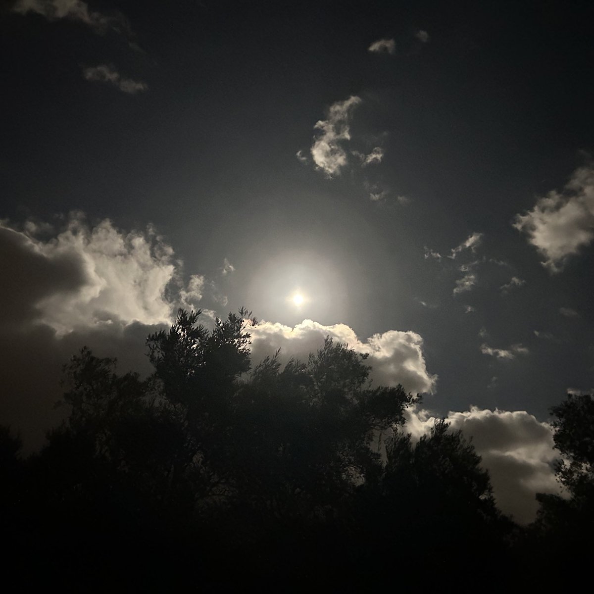 Adam_Chamberln's tweet image. Our Twilight Zone cortijo nights returned tonight for the first time in a year, and all under the atmospheric Beaver Moon! 🌕