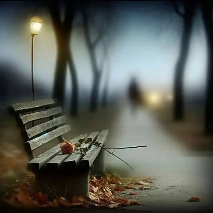 #مهاجر mohageer tweet media