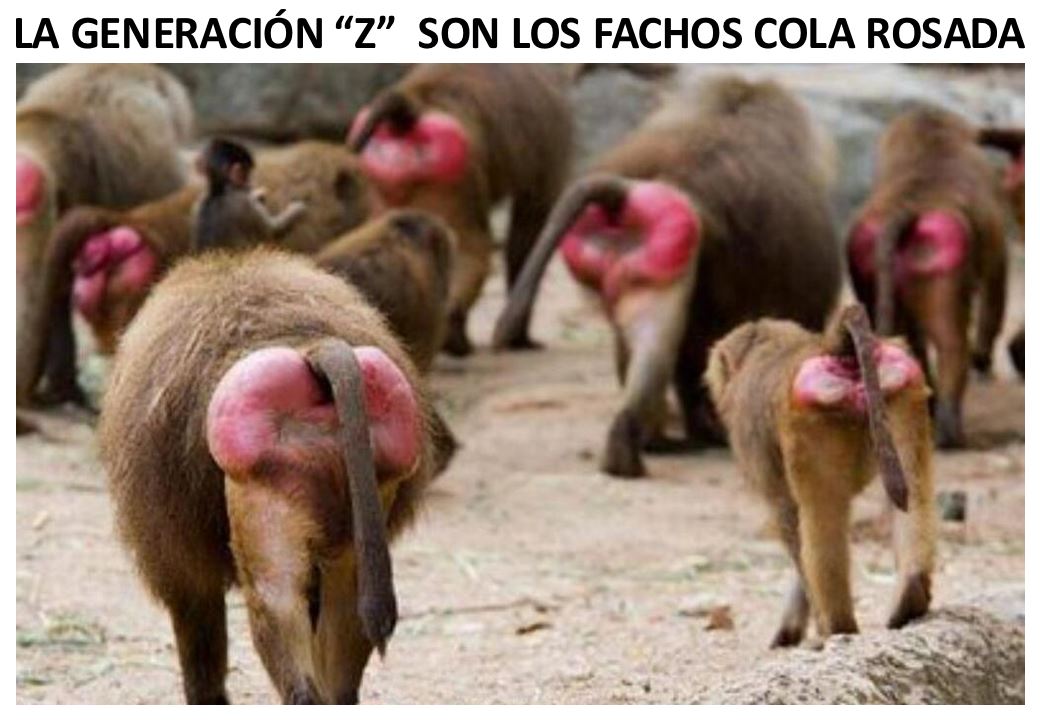 Vicente Gutiérrez "EL TÍO PERPETUO" tweet media