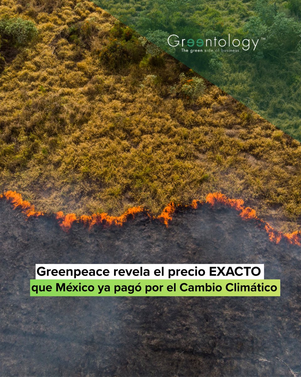 _GreenTology_'s tweet image. Greenpeace México exhibió un ticket gigante con la cifra de $177,423 millones de pesos, el costo de las pérdidas por fenómenos extremos en la última década. 
👇
greentology.life/cambio-climati…

#CambioClimático #Greenpeace #HuracánOtis #PérdidasEconómicas #México #EmergenciaClimática