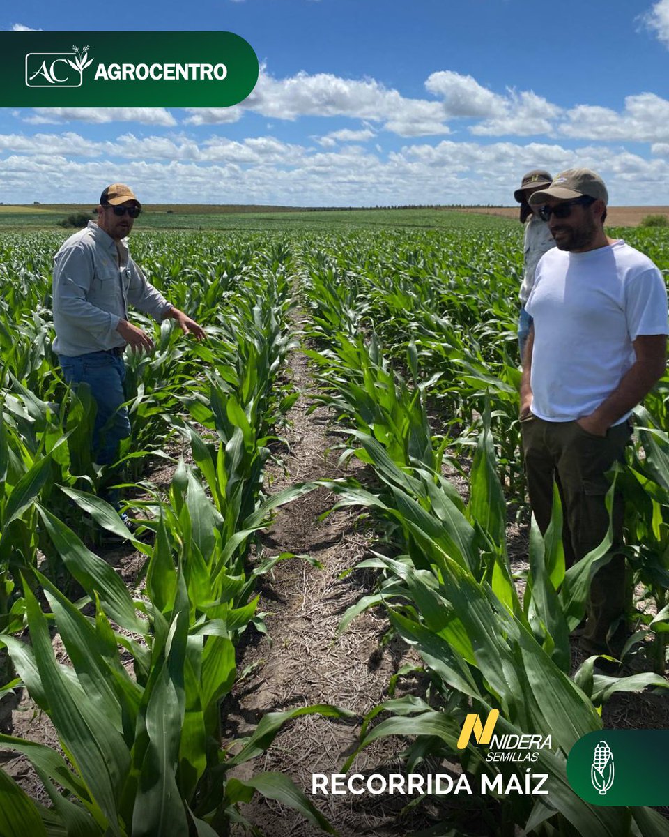 Agrocentro Uruguay tweet media