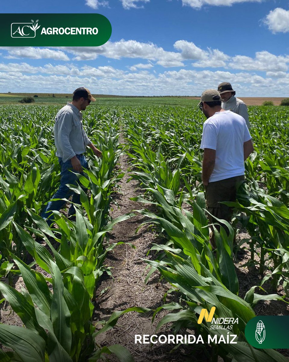 Agrocentro Uruguay tweet media