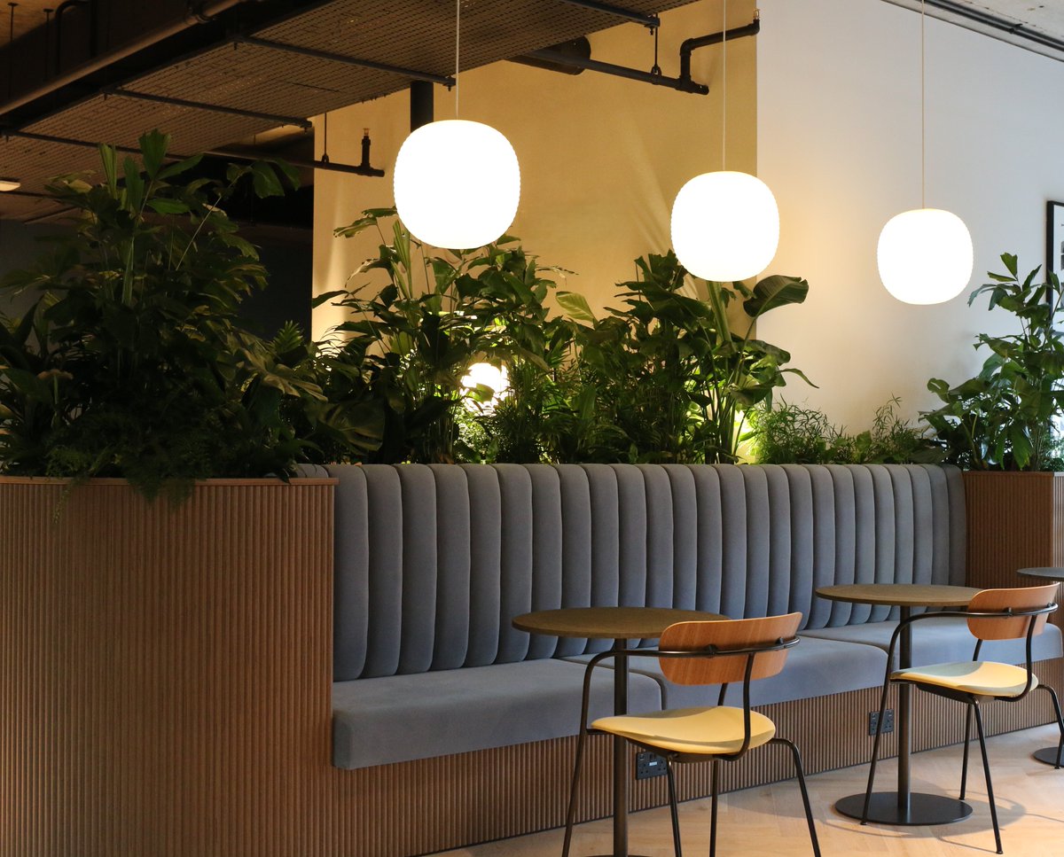 exubialtd's tweet image. Fireworks fade, but a little greenery keeps the sparkle alive all year. ✨🌿

#BonfireNight #BiophilicDesign #WorkplaceVibes #Wellbeing