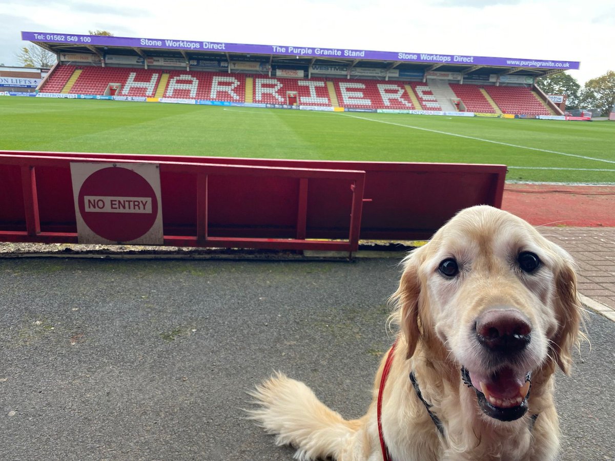 Matty Paddock tweet media