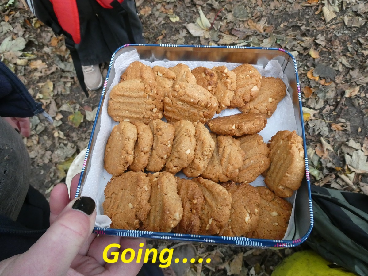 GsyConservation's tweet photo. π€£ Well, that didn't take long......... π€£
Delicious, freshly made peanut butter cookies were a perfect mid-morning treat in Bluebell Wood on Wednesday. Thank you Ian! π
#baking #cookies #glutenfree #dairyfree #starbaker https://t.co/UTHBUgZfTc