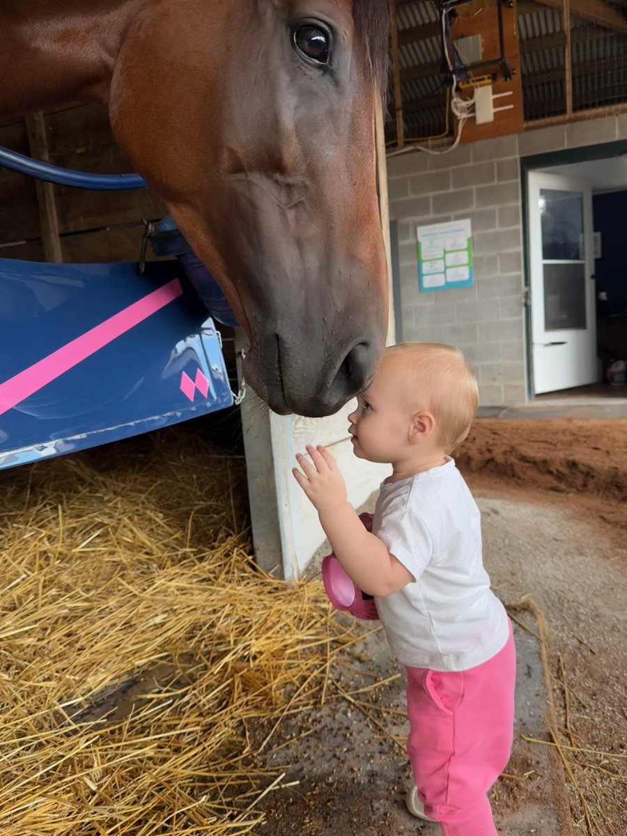 Woodbine Racetrack tweet media