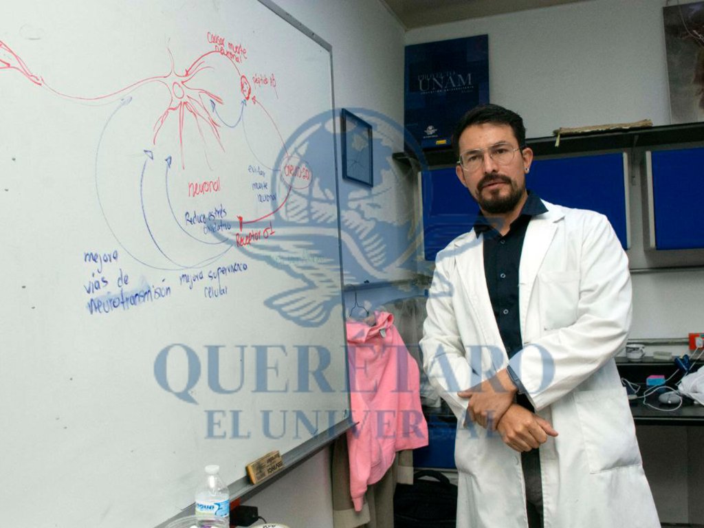universalqro's tweet photo. #Galería| Humberto Martínez, investigador de la UNAM Juriquilla, comparte que trabaja con el fármaco Cneuro 201, una molécula multifuncional en fase preclínica que busca frenar el deterioro neuronal en el Alzheimer.🧠💊👨‍🔬

https://t.co/pwHJqAKkPM
📸Mitzi Olvera https://t.co/clkeJQ7xIL