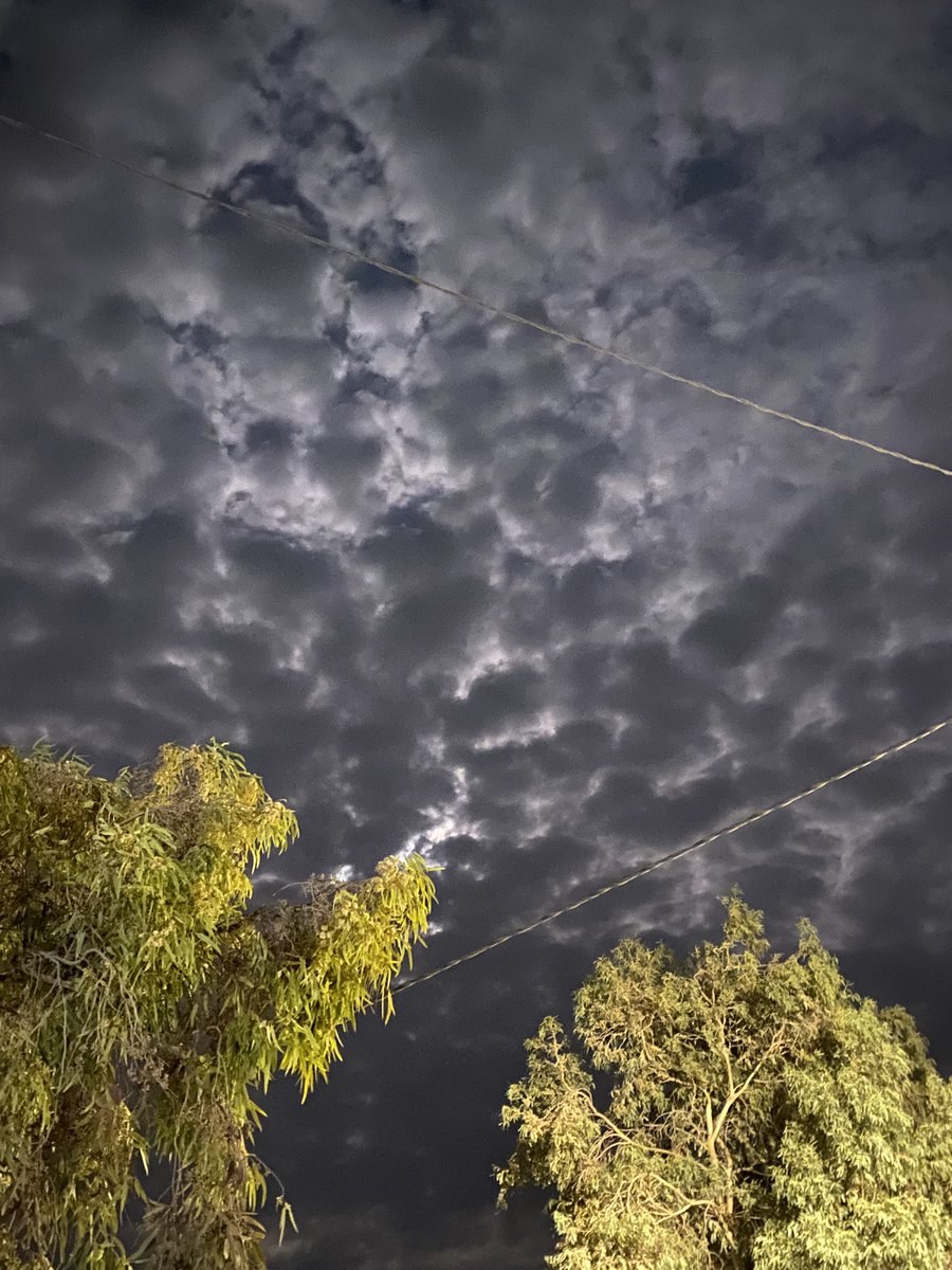 يدور الزمان وكل يوم يطيح قناع
وتظهر لك وجيه الناس وطبايعها