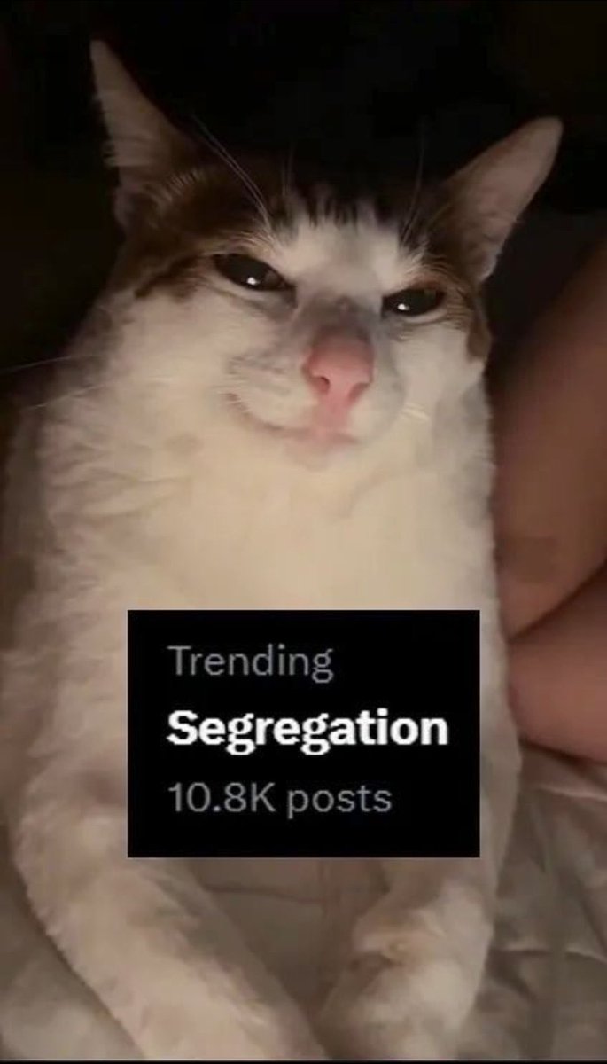 Timeline Terrorist (@1776terror) on Twitter photo 