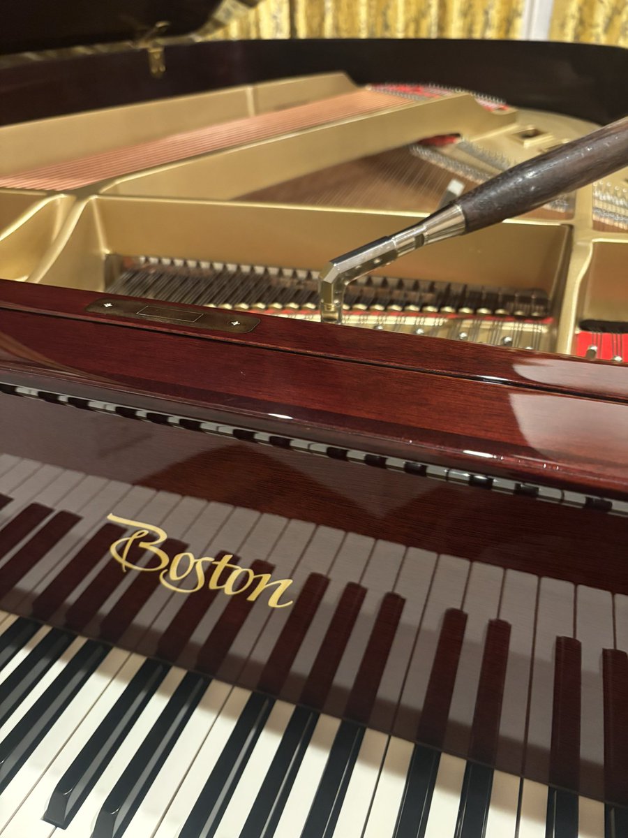 SARA (@sarapiano) / Posts / X