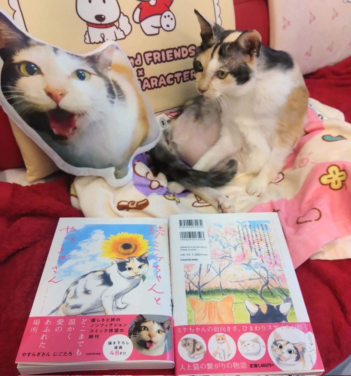 ミケちゃん (@ojm52811) / Posts / X