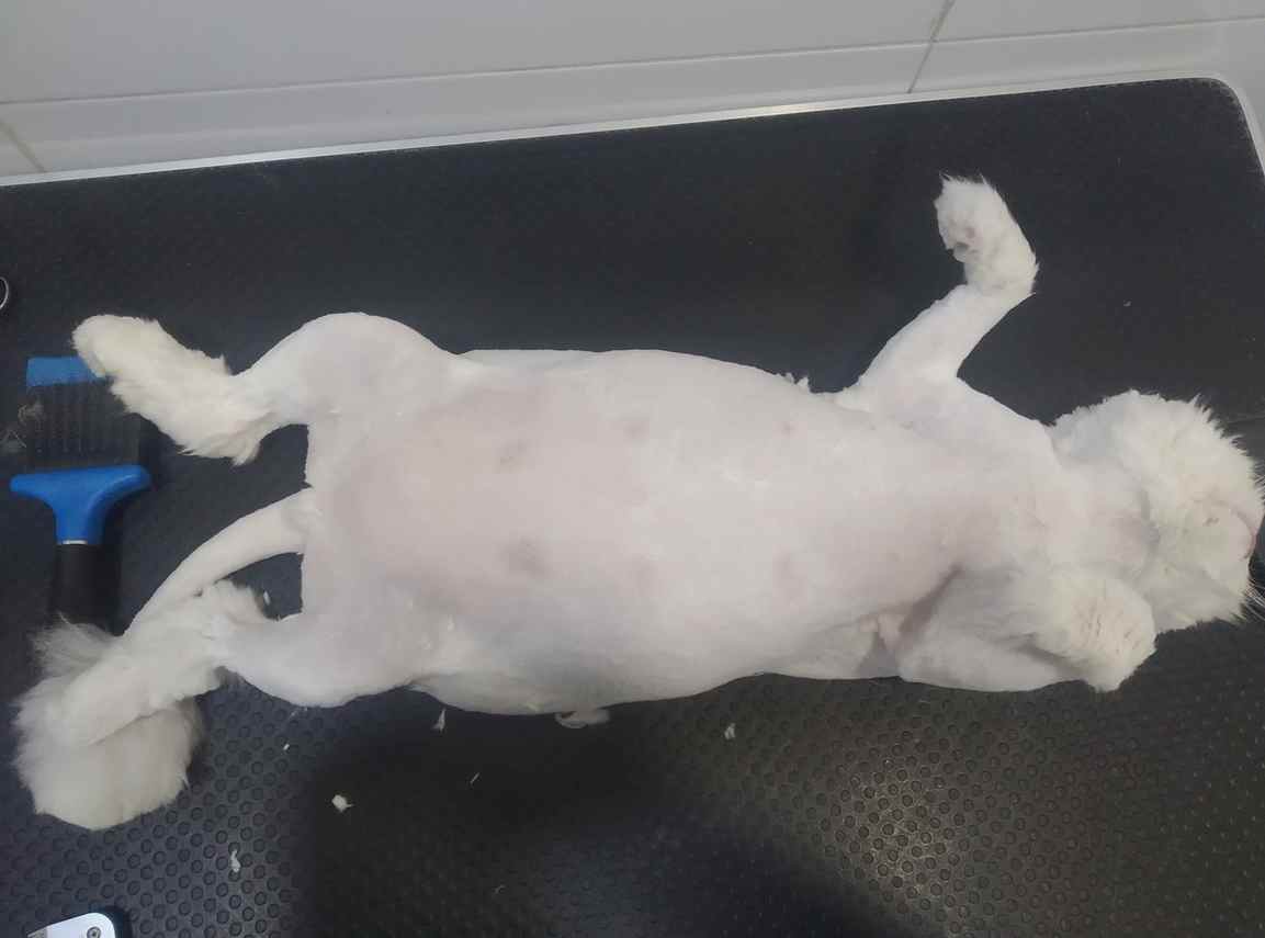 fant69's tweet image. 🪆 I spent time alone and didn’t feel lonely.