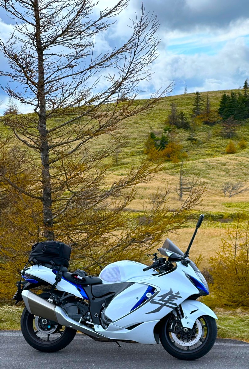 とらちゃん (@torachan675r1) / Posts / X