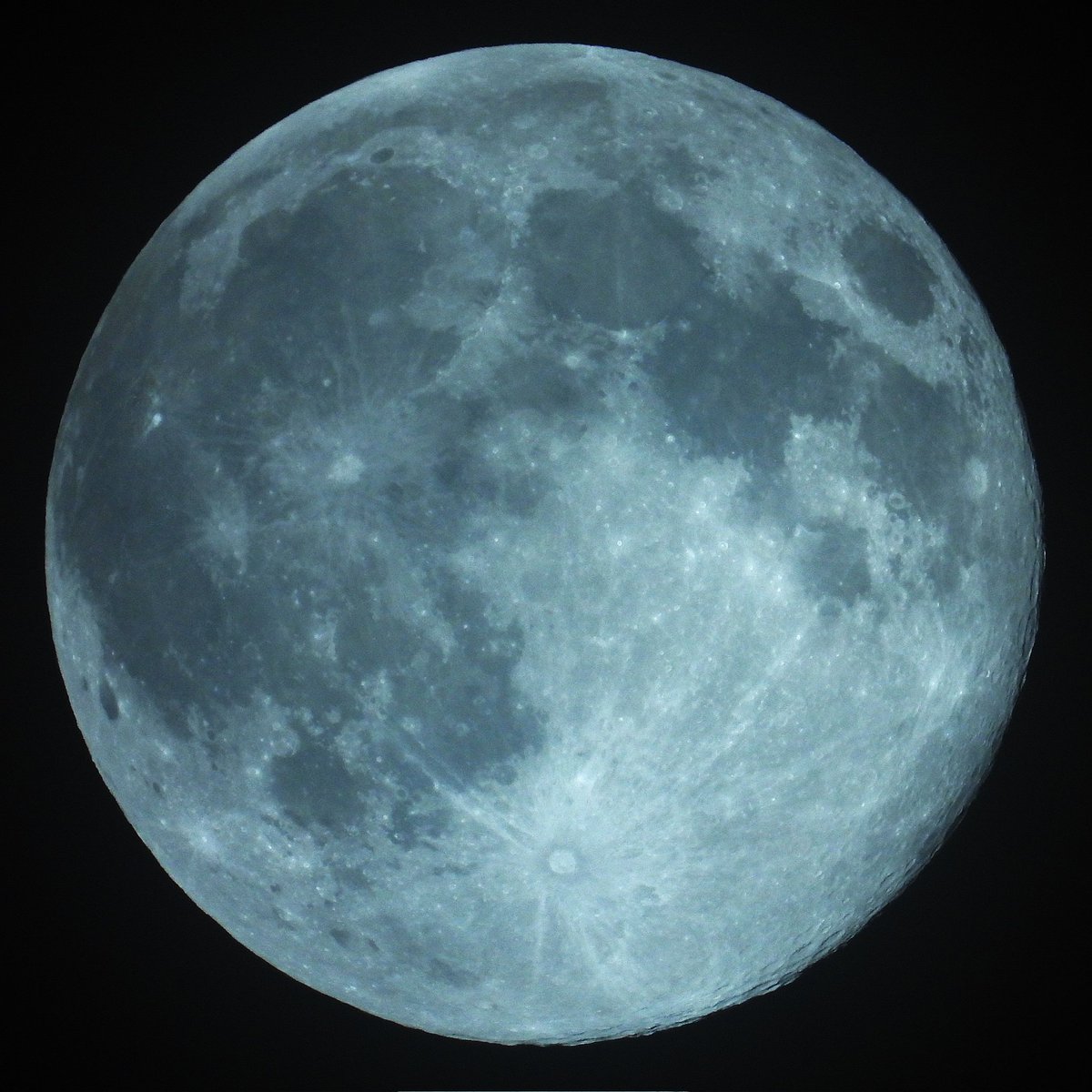 FunkyAppleTree's tweet image. Still Beavering away... #supermoon #BonfireNight #BeaverMoon #fullmoon 🦫🌝☁️ @StormHour @ThePhotoHour #LoveUKweather